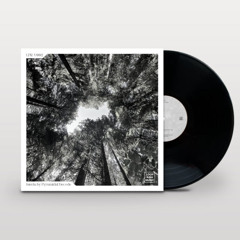 (Previews) 12" Isteria [LPR​-​V002] by Pyramidal Decode