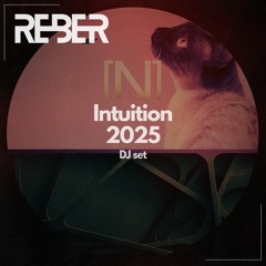 Intuition 2025