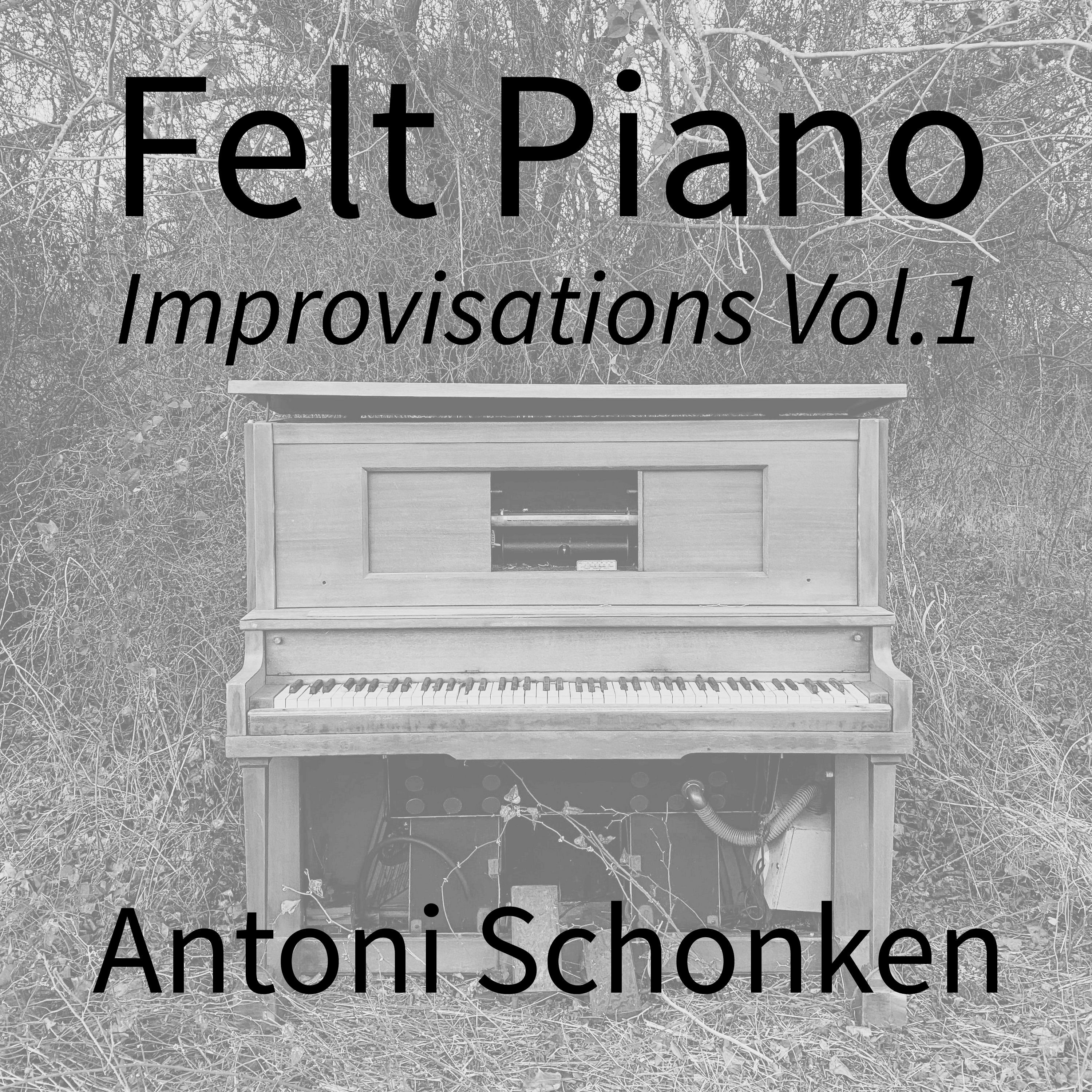 Antoni Schonken