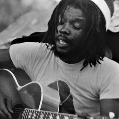 Peter Tosh - Johnny B. Goode (Remix)