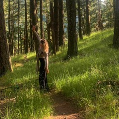 Bronwen Olson - Wildageeses (Cover)