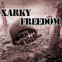 Mindzone (Xarky Remix)