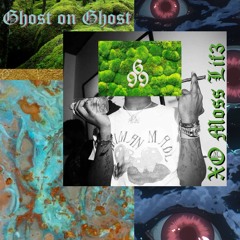 XO MOSS LIF3