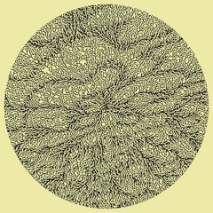 Leon & Dia - Abstract Vegetation