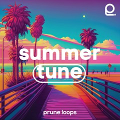 Summer Tune