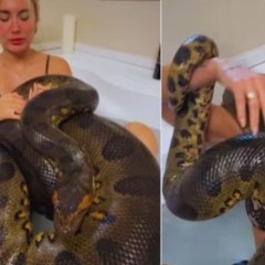 Original Full new one girl one anaconda video link ruby and anaconda video