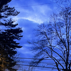 Sippin (Lonely Roads)