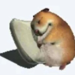 παράξενο χάμστερ