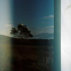 4.散弾が外れたら(2023.10.22.last reversal)