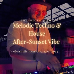 Melodic After-Sunset Vibe Techno & House // Gleishalle Hamburg
