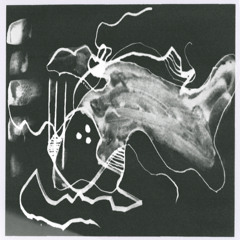 Enracinements : interactions