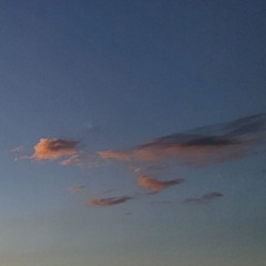 untitled 7