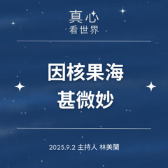 【真心看世界】因核果海甚微妙0902
