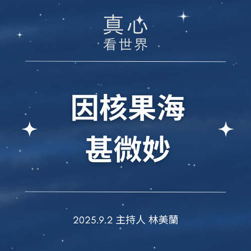 【真心看世界】因核果海甚微妙0902