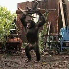 PODCAST 2+1 DO BAILE DO LIXÃO [ DJ LIPE ] TROPA DO BIGODE ( 2018 )