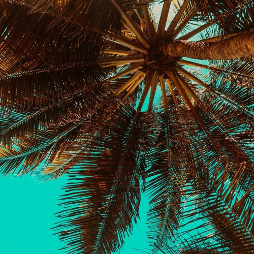 Summertime
