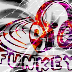 FunKey- Spring Vibe 2023