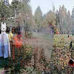 qr! - The Pursuit Times