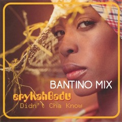 Erykah Badu - Didn't Cha Know (Bantino Remix)