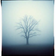 Buried alive in my memories