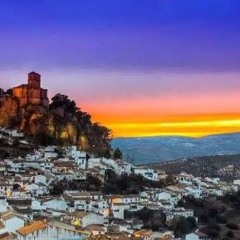 INca 311224