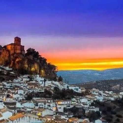 INca 311224