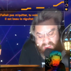 Sabine paturel - Les betises (cover et vocal par mistermv)