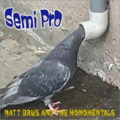 Semi Pro