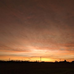 Fenland Skies