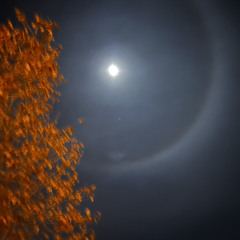 MOHIKAN + spnlmnk (bleachcraft, sloymo, fuego103)