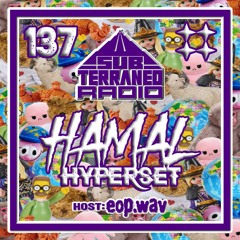 SubTerraneo Radio Ep.137:The HAMAL Hyperset