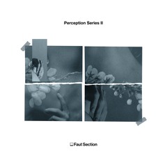 Perception Series 2 [FAUT052]_PREVIEW