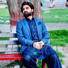 ZAREE Audio Song Bilawal Sayed Pashto new Ghazal