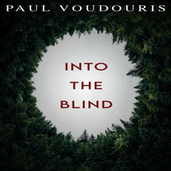 Into The Blind