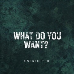 WHAT DO YOU WANT?