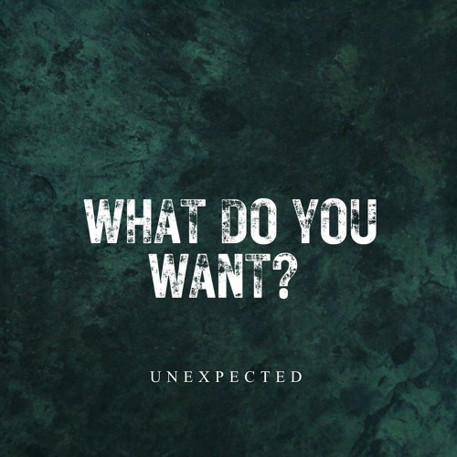 WHAT DO YOU WANT?