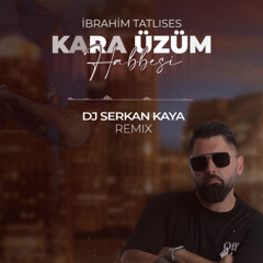 Ibrahim Tatlises - Kara Üzüm Habbesi (Dj Serkan Kaya 2022 Remix)