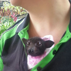 lil peep- Living Rooms