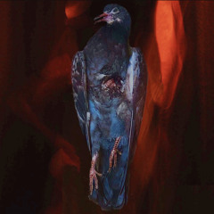 Meth Pipes In Calabasas