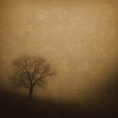 Prelude 8 Clavier Bien Tempéré 1 - BWV 853