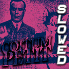 COITUM PETIT (SLOWED + REVERB)