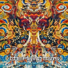 The Flying Mars - Vibrashapes [Mindspring Music]