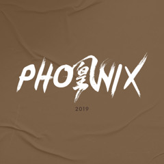 Phoenix 2K19 快摇 / VinaHouse