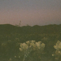 VACANT (2021)