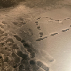 from me to you