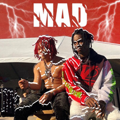 playboi carti x trippie redd - mad /highschool /somebody call peta instrumental remake