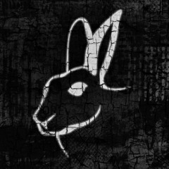 RabbitCast #002 - mixed by Tobi Koch