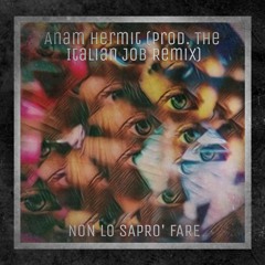 Anam Hermit - Non Lo Saprò Fare (Prod. The Italian Job Remix)