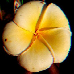 Mboranji (ft. David Ralak)