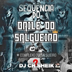 SEQUÊNCIA DO BAILE DO SALGUEIRO X TROPA DO COROA👑 [[ DJ CH SHEIK DO SALGUEIRO ]]